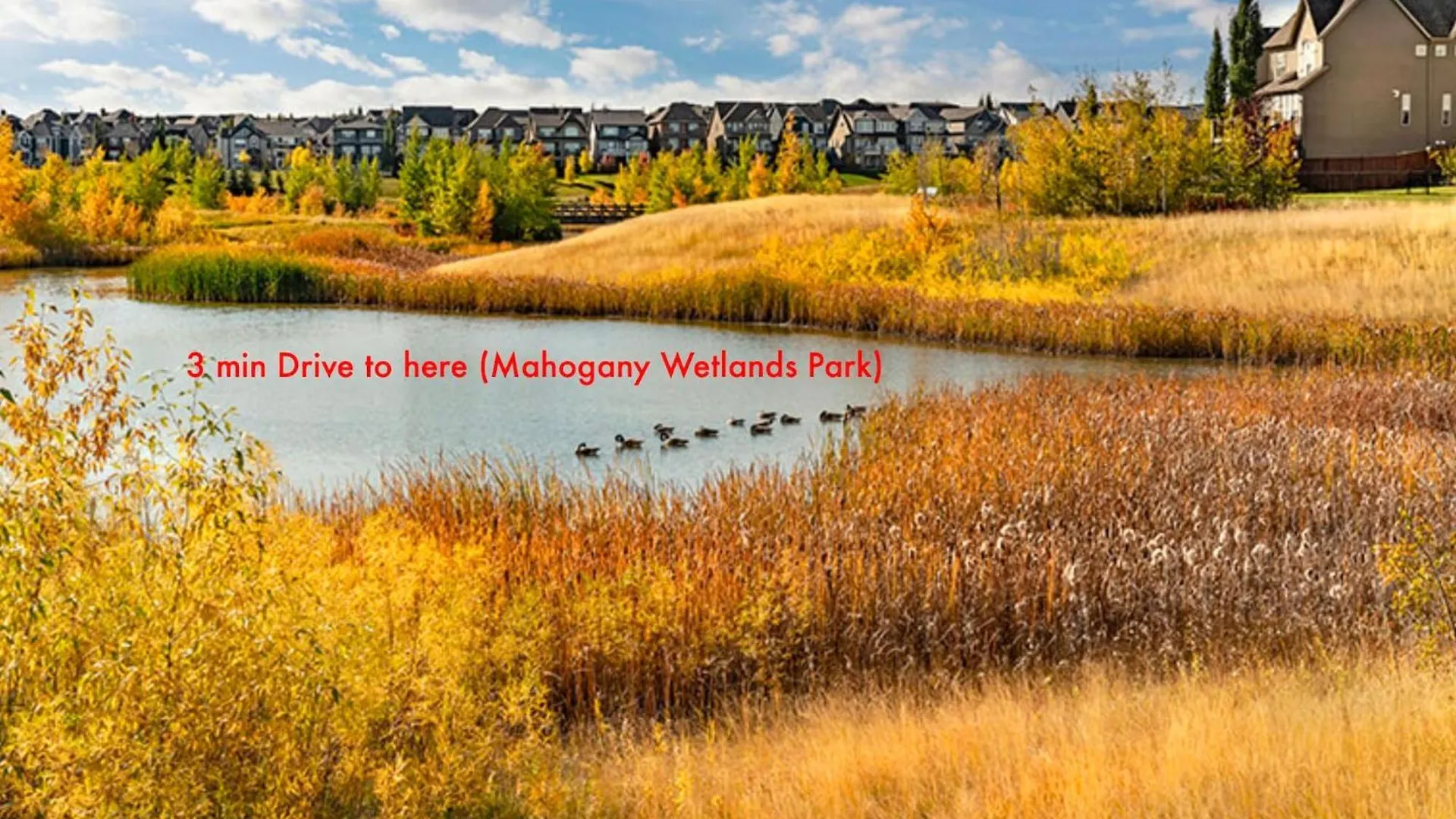 Mahogany Loft Retreat - 3 Story Home YYC Kanada